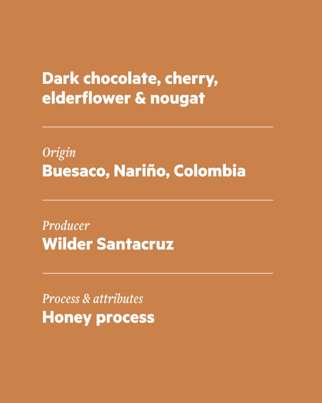 Wilder - Honey - Filter