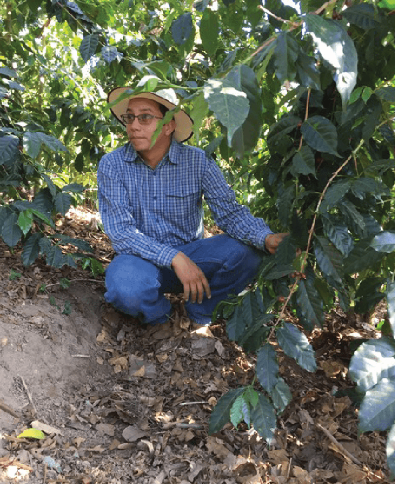 Arlam Aguirre - Filter