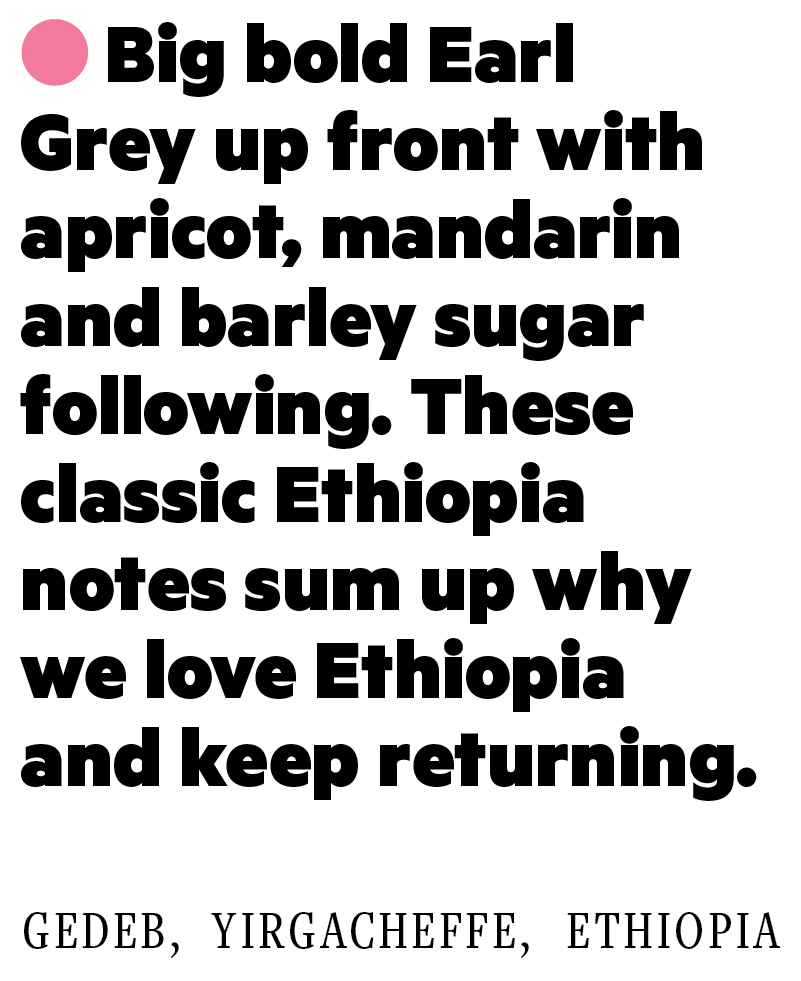 Halo Hartume – Filter