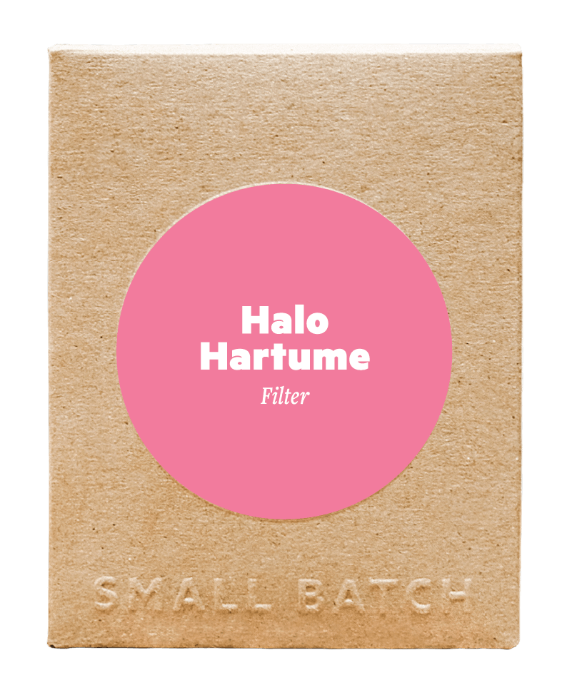 Halo Hartume – Filter